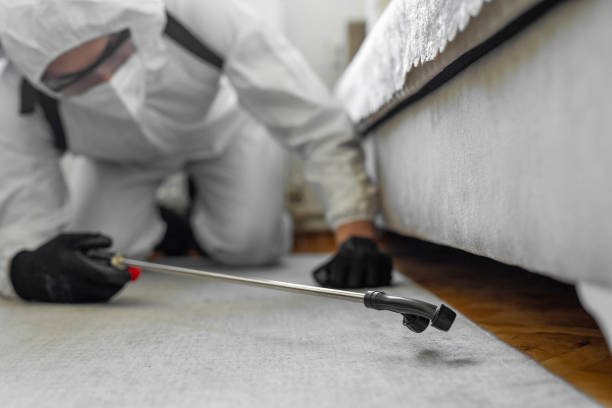 Professional Ant Control technician working in Lake County County, MN